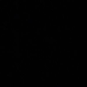 Meet your Posher, Celine